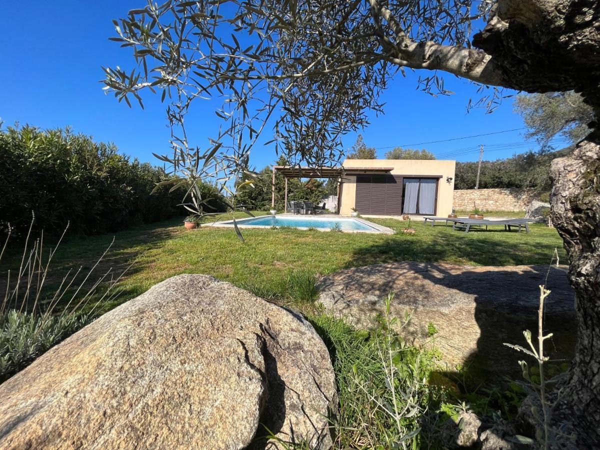 Villa Calisti Belgodère Eksteriør bilde